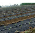 Spunbond Nonwoven Fabric agriculture PP nonwoven fabric Customizable weight